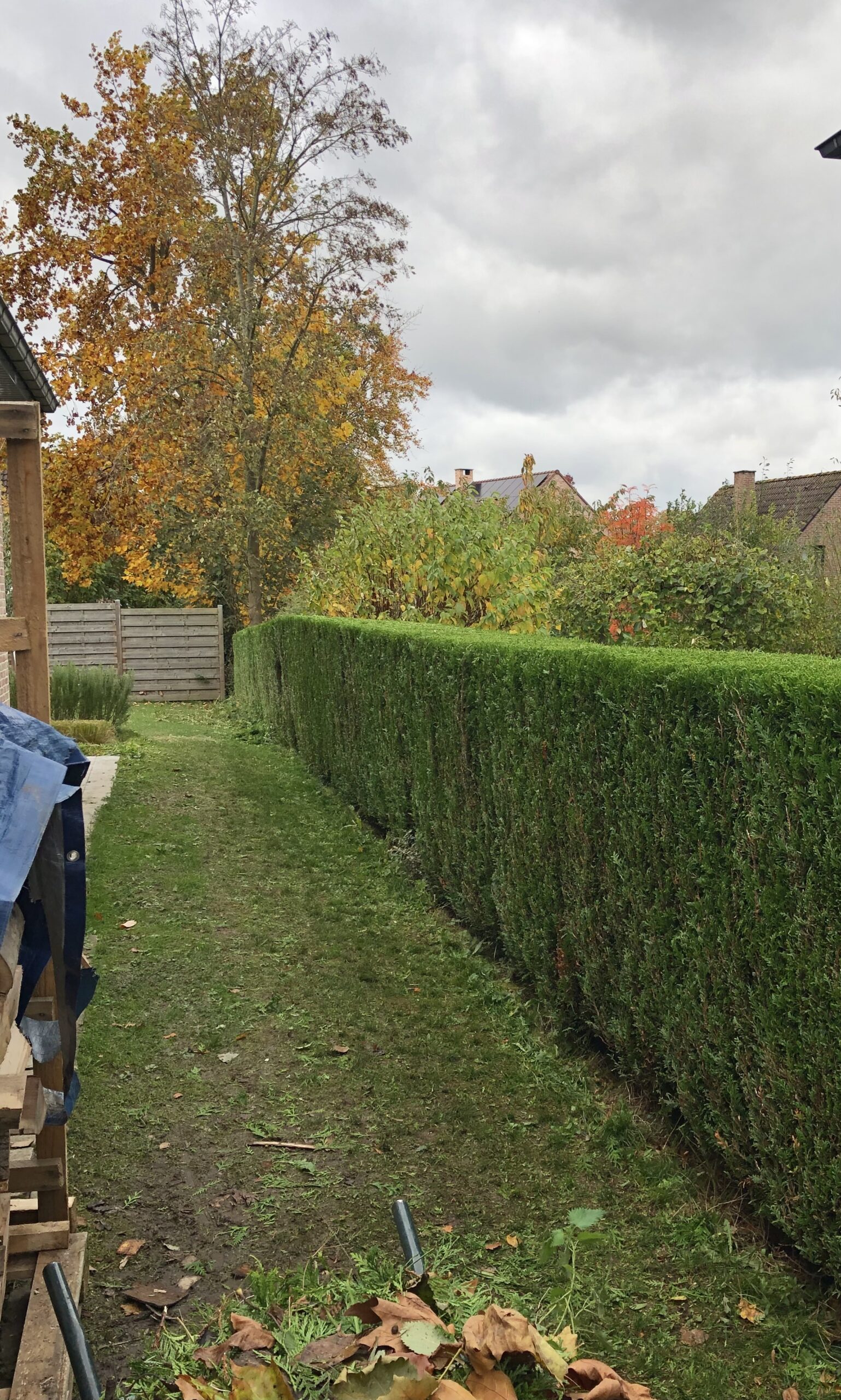 Entretien de jardin Brabant-Wallon